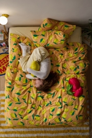 2503_HOME_EVERYBED_ALEJANDRA_POLANCO_OVERHEAD_8707