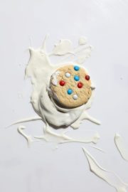Ice-Cream-Sandwich-1-scaled