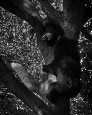 DSC_2853-3
