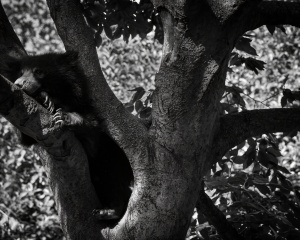 DSC_2961-Edit-2
