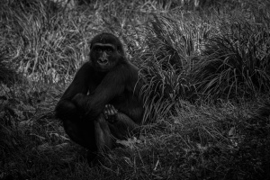 DSC_3082-3