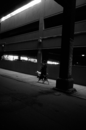 DSC_4644