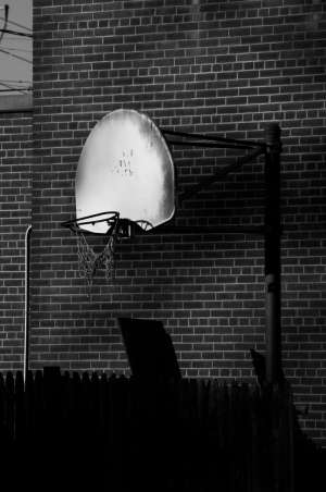DSC_8243